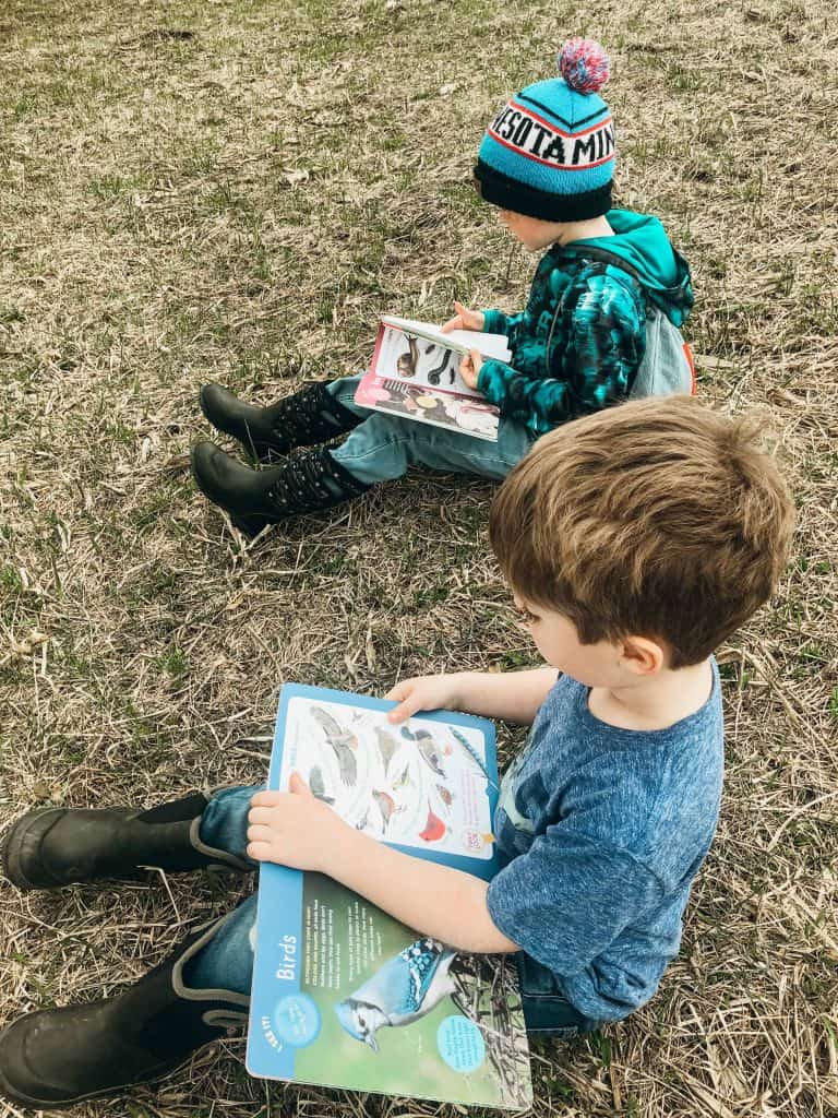 boys reading about animals outdoors