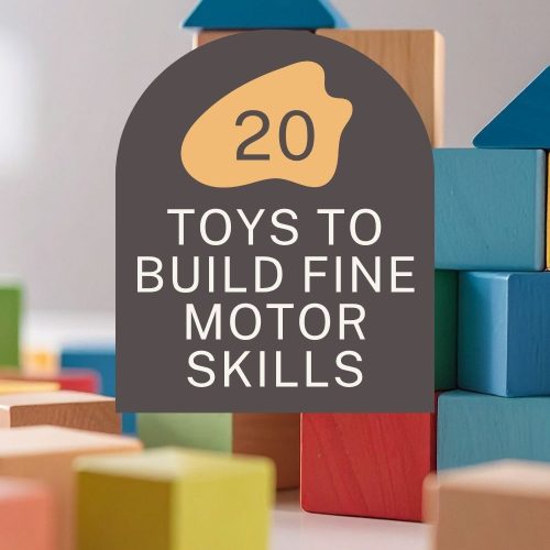 Pinterest pin for top 20 toys to build fine motor skills