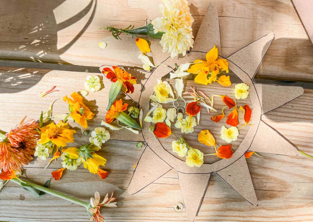 flowers stuck on contact paper to create a flower sun suncatcher.