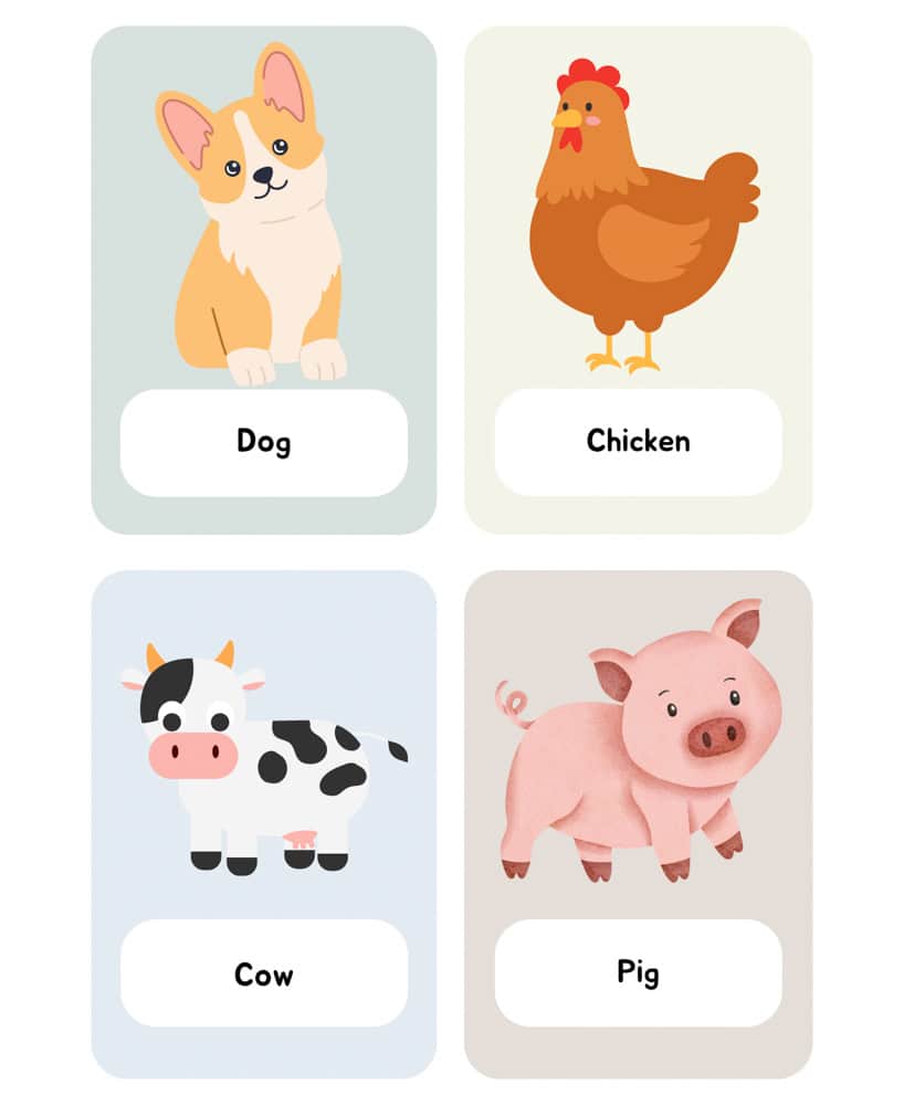 Flash cards of a dog, chicken, cow and pig with english labels