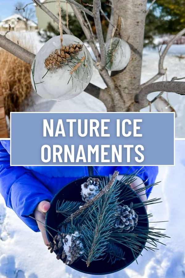 Pinterest Pin for Nature Ice Ornaments