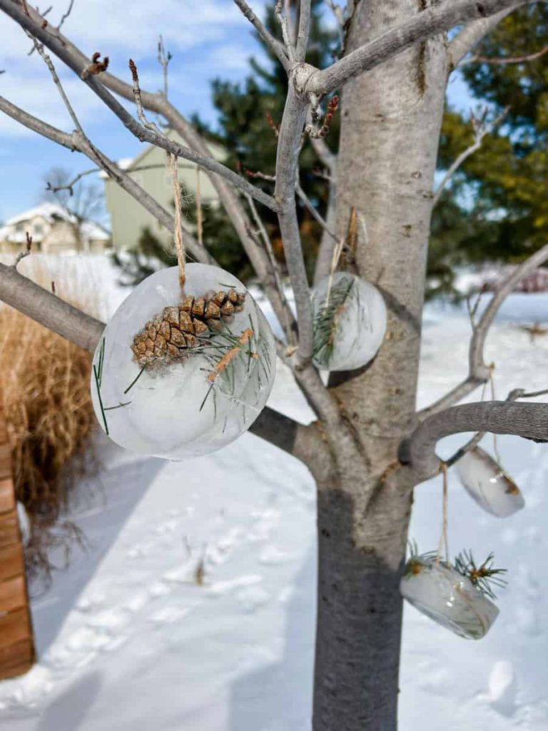 Nature Ice Ornament hanging in tree