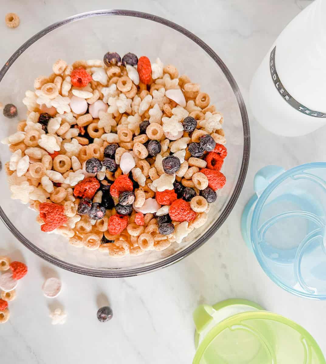 Baby and Toddler Trail Mix Recipe - Fox Farm Home