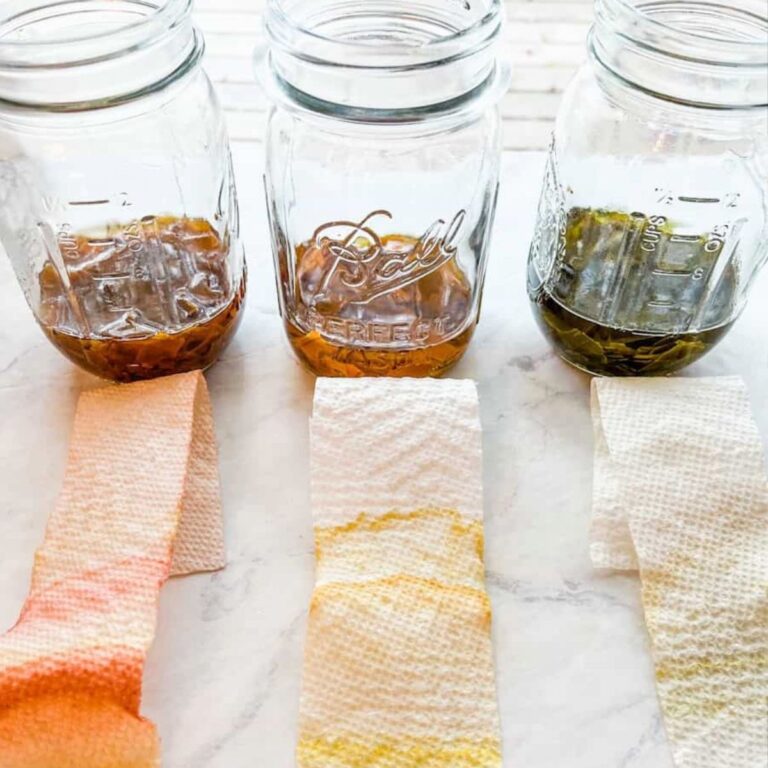 Leaf Chromatography Science Experiment For Kids