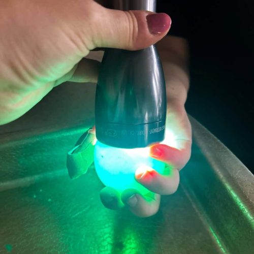 hand holding a flashlight over egg that is glowing