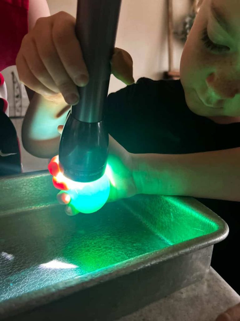 child holding flashlight on egg to watch it glow
