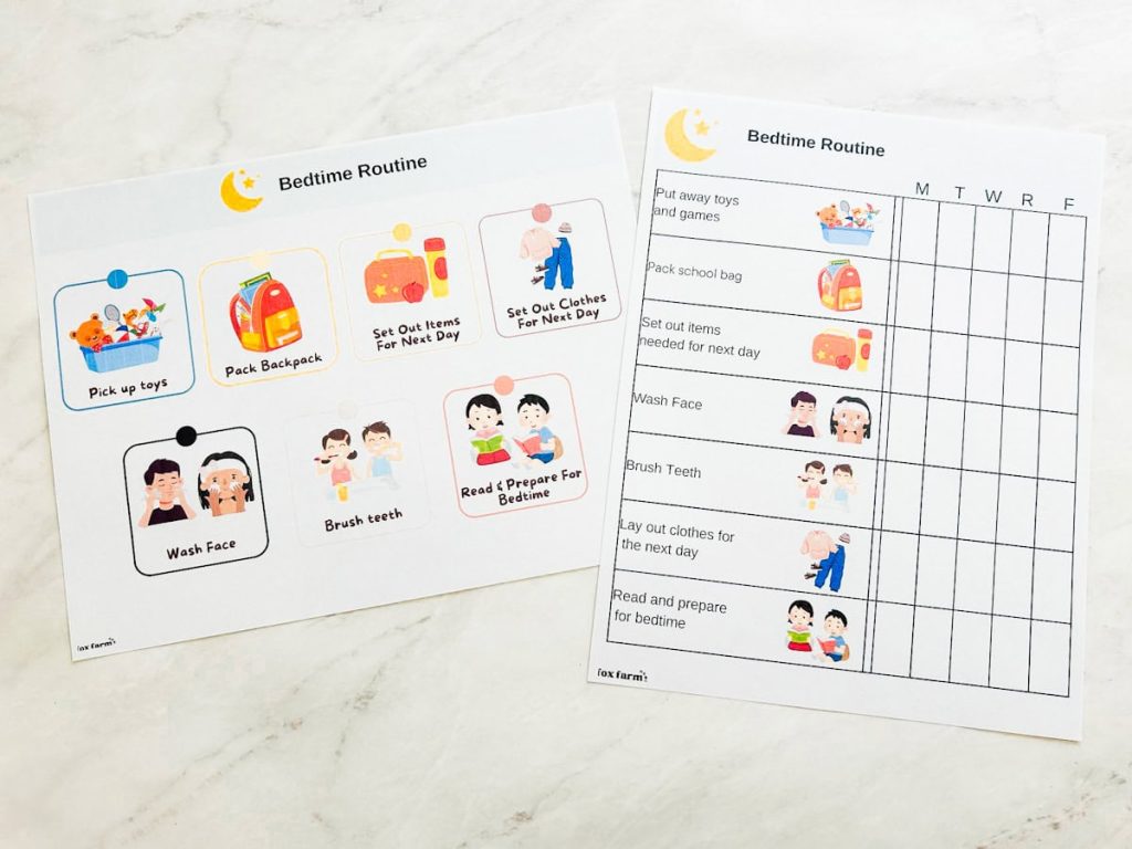 both the daily picture schedule and weekly visual schedule on table