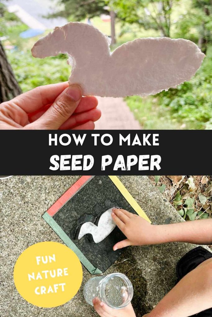 Pinterest Pin for how to make seed paper