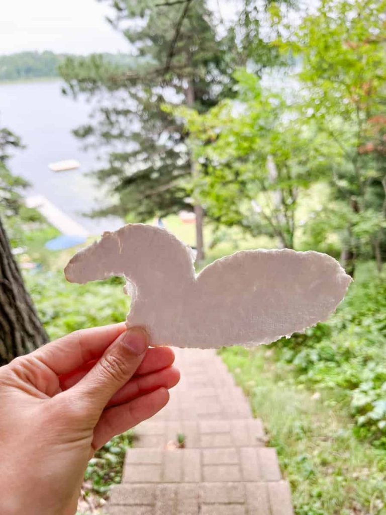 hand holding up seed paper in the shape of a loon with lake and trees in background