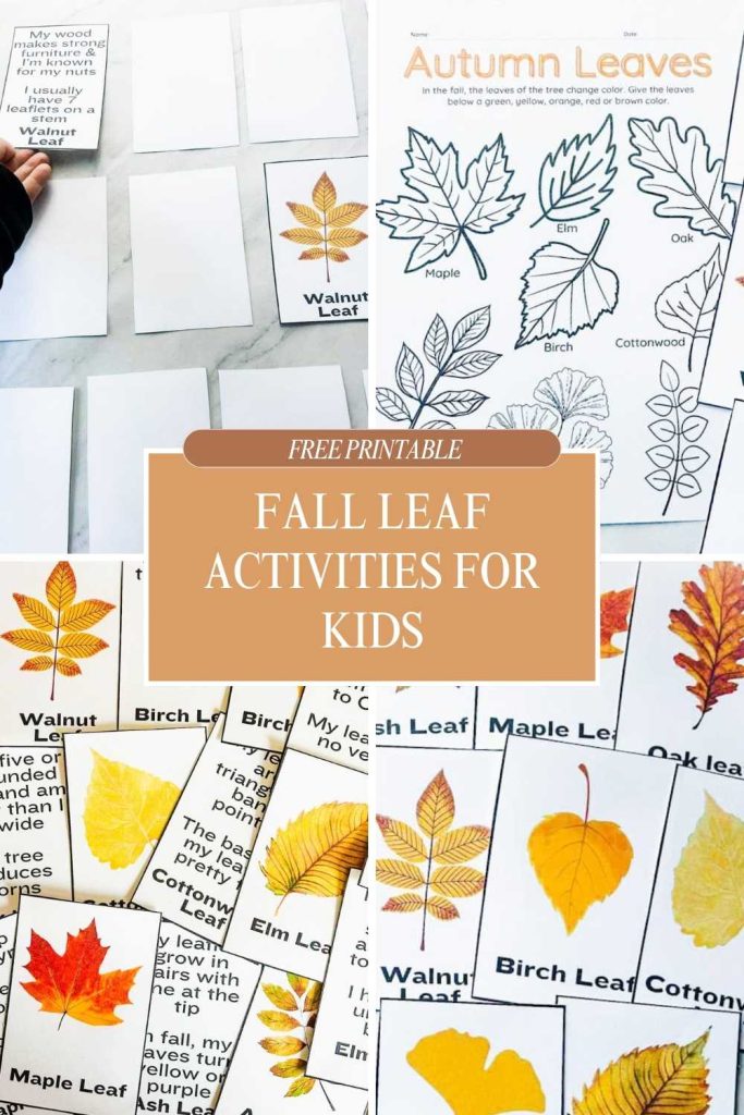 pinterest pin with photos of the fall printable activities