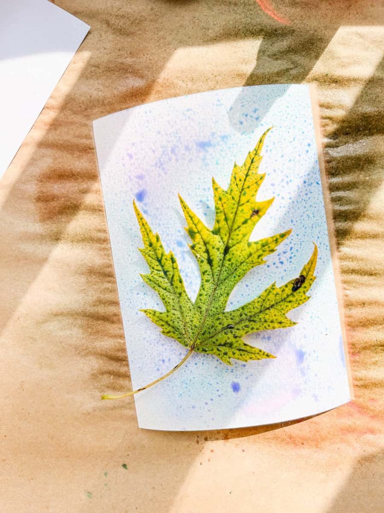 leaf on top of watercolor paper after being painted