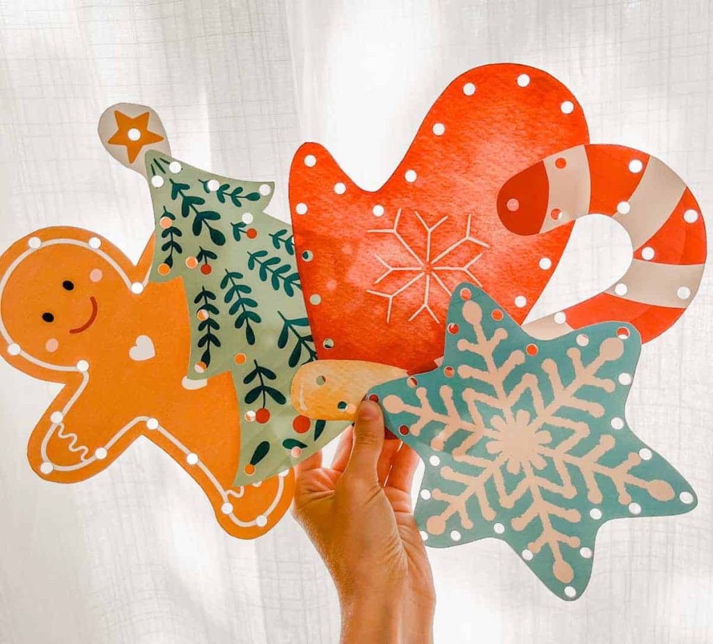 all 5 lacing cards held up with white background