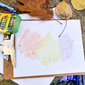 leaf rubbing on a clipboard with crayons and leaves around