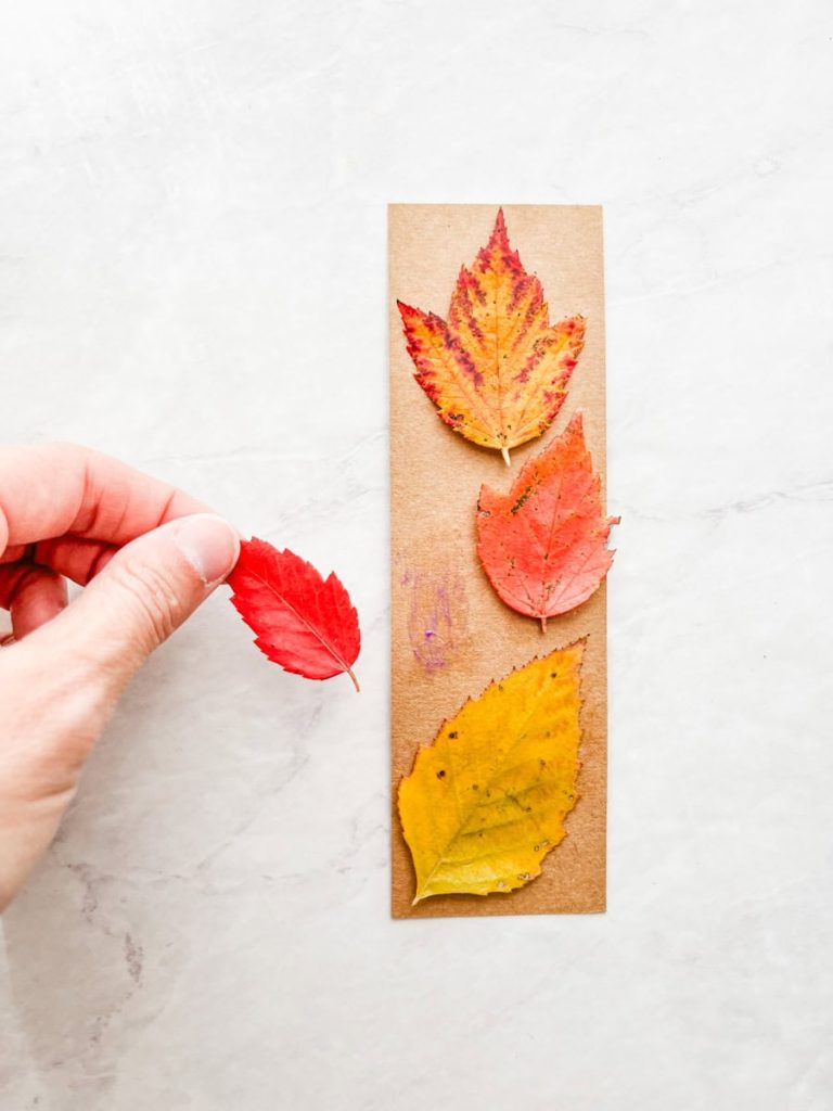fall leaves arranged on bookmark with a hand placing a leaf on glue on the bookmark