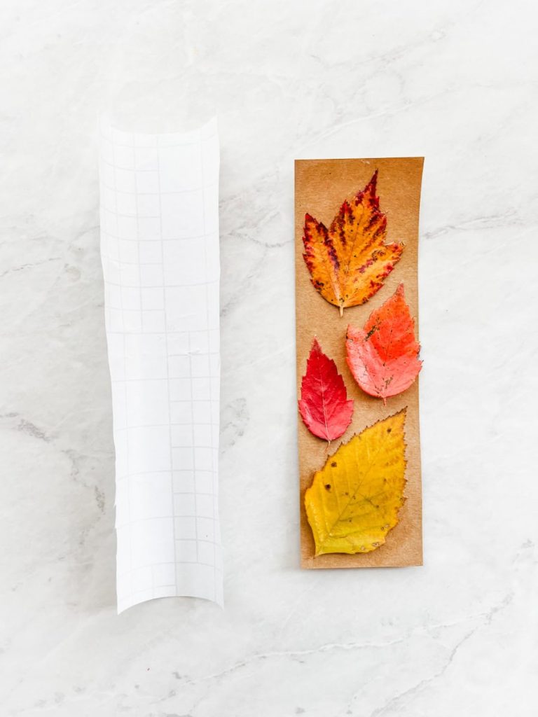 piece of contact paper next to leaves arranged on bookmark