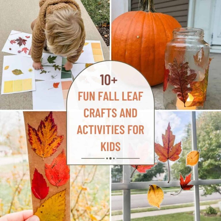 Easy Fall Leaf Crafts and Activities for Kids