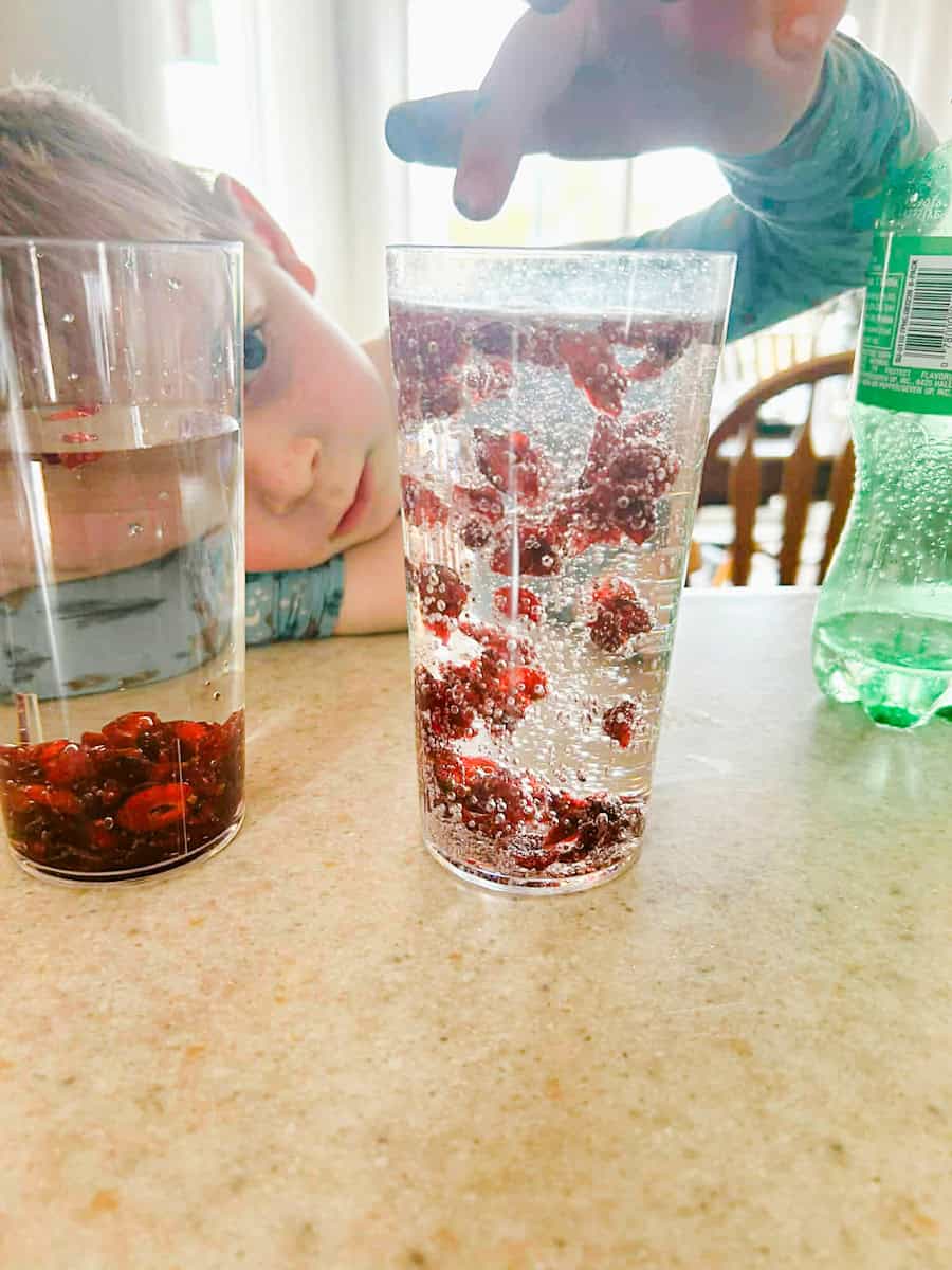 child dropping crasins into cup with 7 up and watching them dance.
