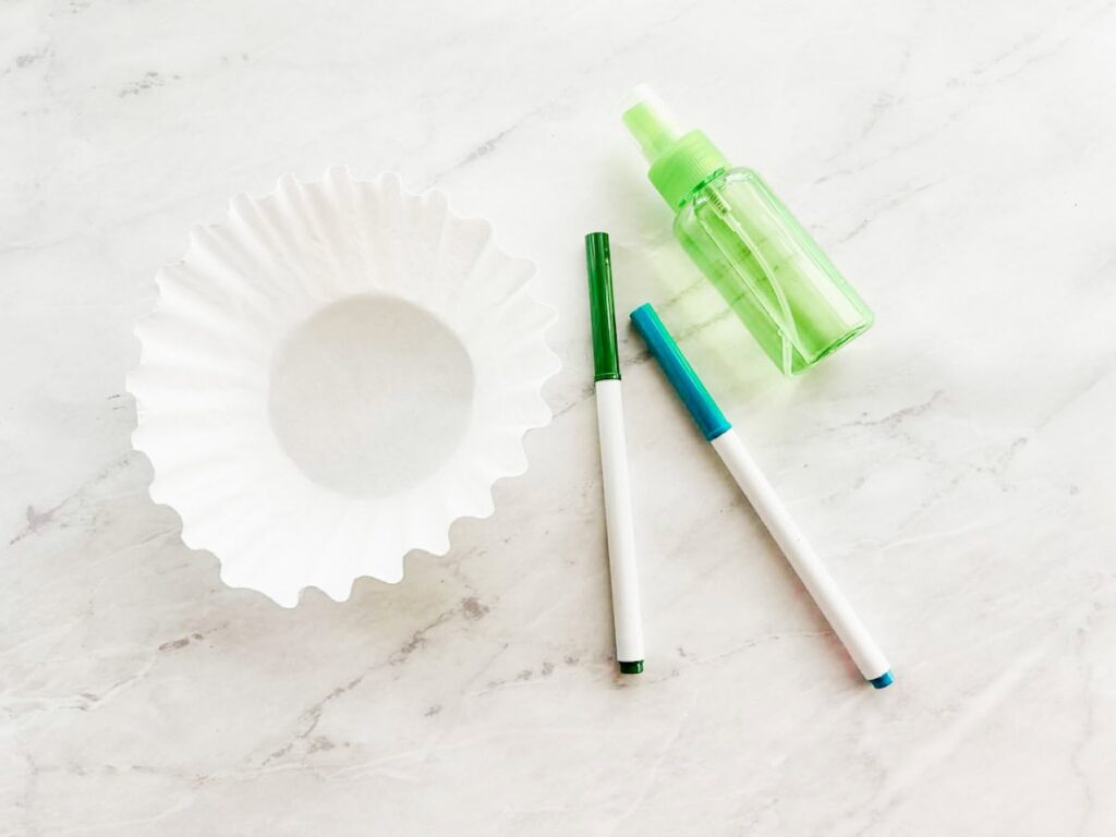 picture of supplies including green and blue marker, water spray bottle and coffee filter