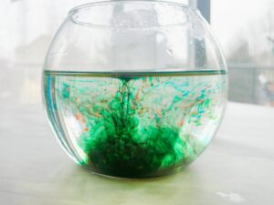 photo of the fireworks in a jar expriement with the food coloring and oil added to the glass jar