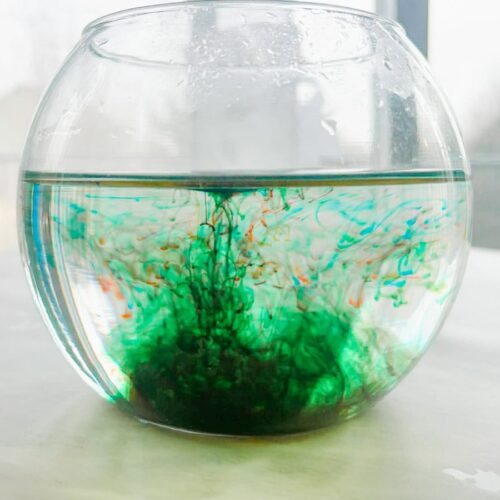 photo of the fireworks in a jar expriement with the food coloring and oil added to the glass jar