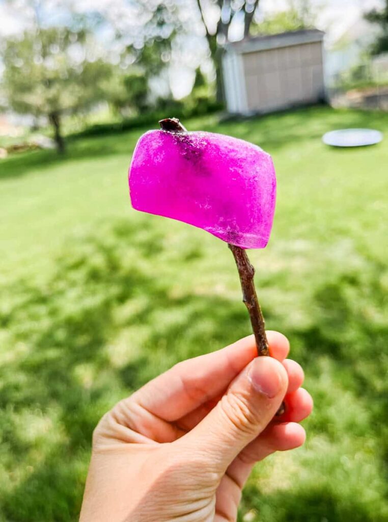 painted ice cube on a stick held up in front of grass
