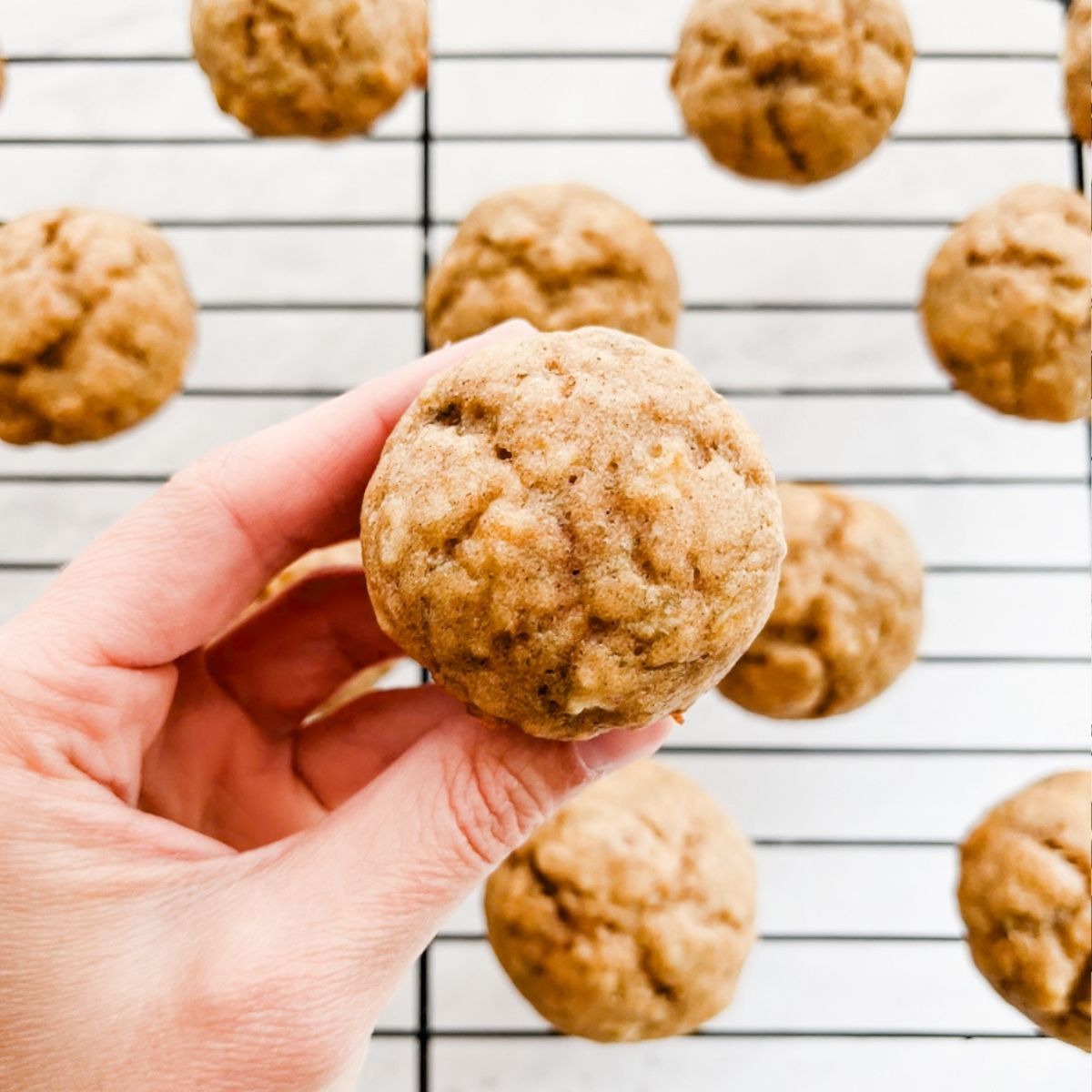 hand holding a banana mini muffin in front of other mini muffins.
