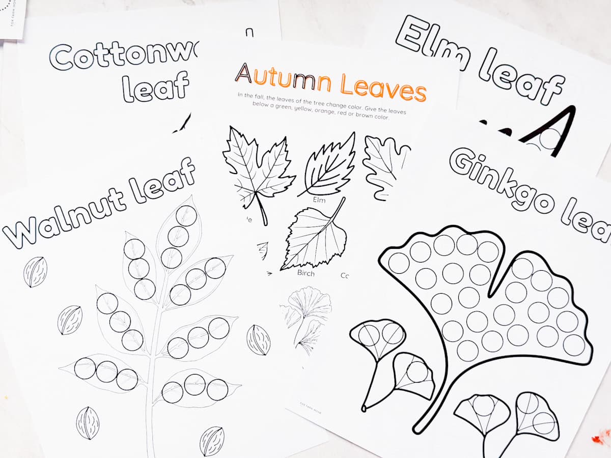 4 fall leaf dot marker pages on table with an autumn leaves worksheet in the middle.