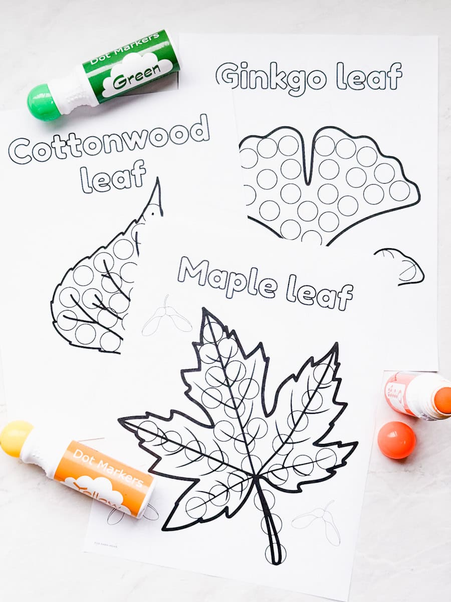 3 fall leaf worksheets on table with do a dot markers laying on top of them.