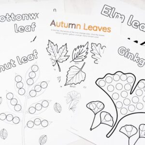 fall leaf do a dot worksheets on table with autumn leaves worksheet in the middle of the pages.