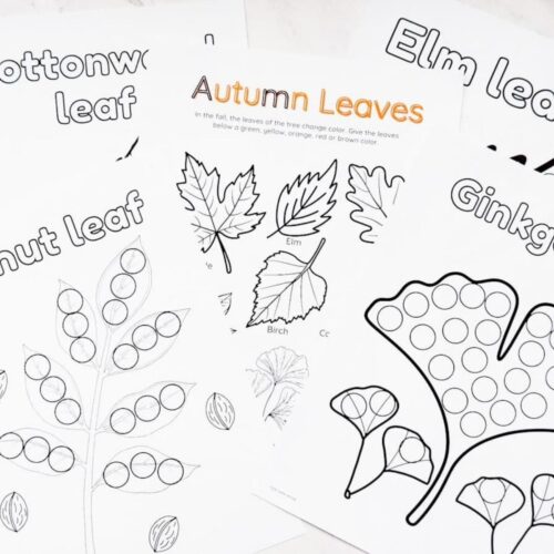 fall leaf do a dot worksheets on table with autumn leaves worksheet in the middle of the pages.