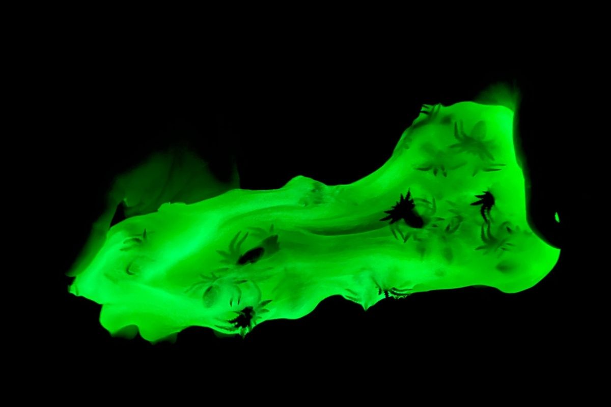 Glow in the dark slime with spiders in the dark. 