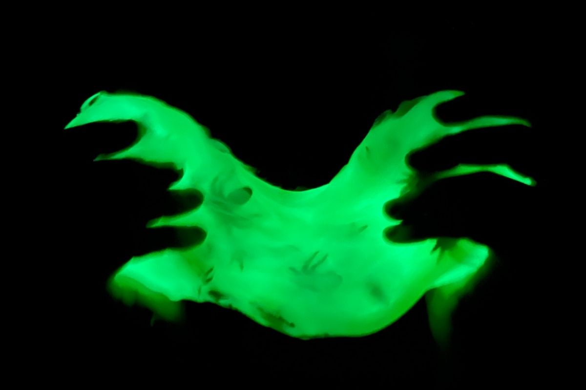 Hands stretching glow in the dark slime with a black background.