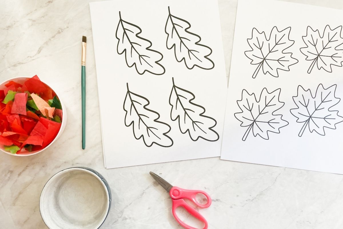 Leaf templates, scissors, water, tissue paper, and paint brush on the counter.